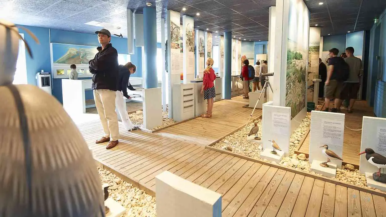 Maison-Ile-Kerner-Riantec-Morbihan-Bretagne-Sud