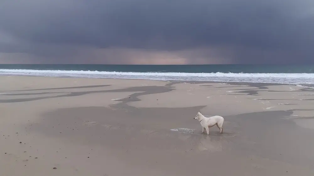 Camping Le Loup Blanc