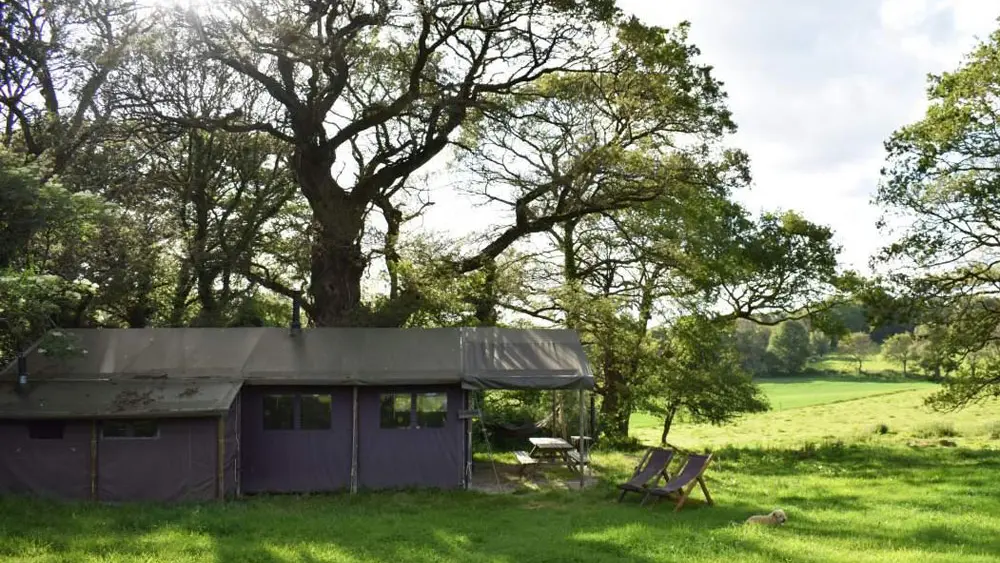La Ferme de Penquelen - Un Lit au Pré