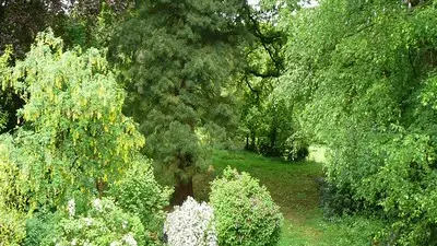 La Morinais
