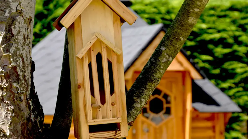 Glamping Terre & Mer