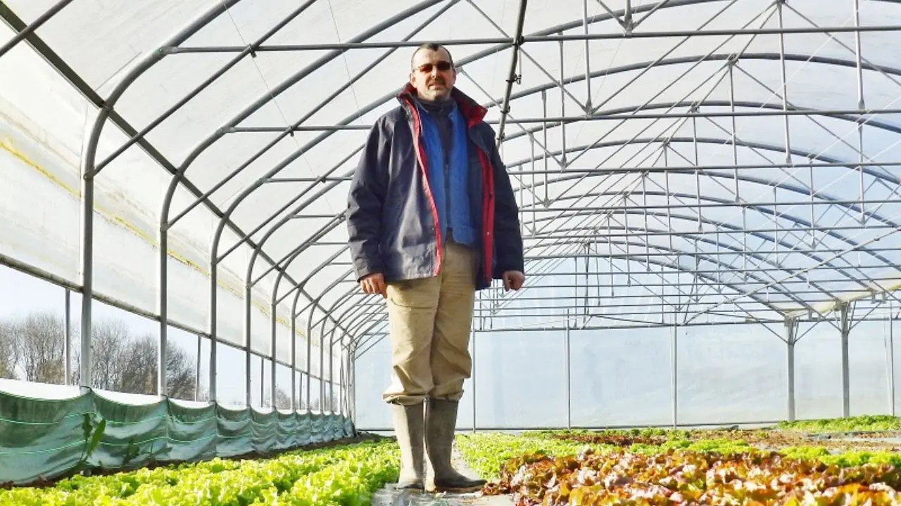 maraîcher_breteil_Jean-Yves Roump (6)