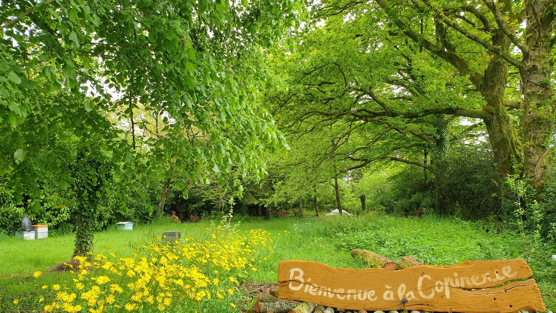 19_Parc_Copinerie© Gîte Tir na nog