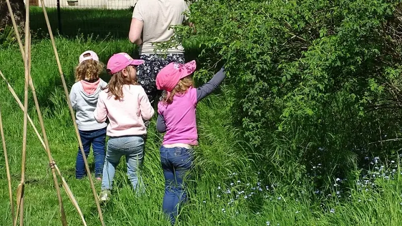 sortie_nature_cpie_foret_de_brocéliande_Morbihan