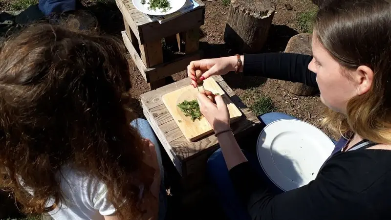 accueil_groupe_sortie_nature_cpie_foret_de_brocéliande_Morbihan