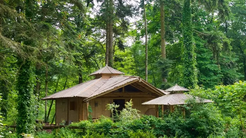 14-Cabane Bambou -camping_d_aleth-2023