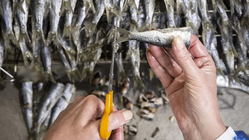 Conserverie la belle-iloise