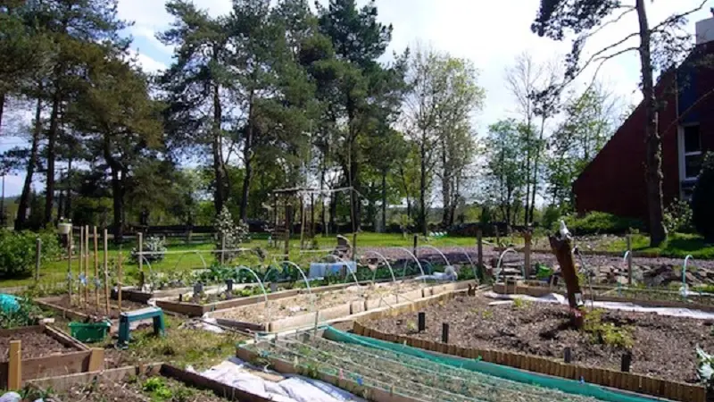 Le Bois des Elfes