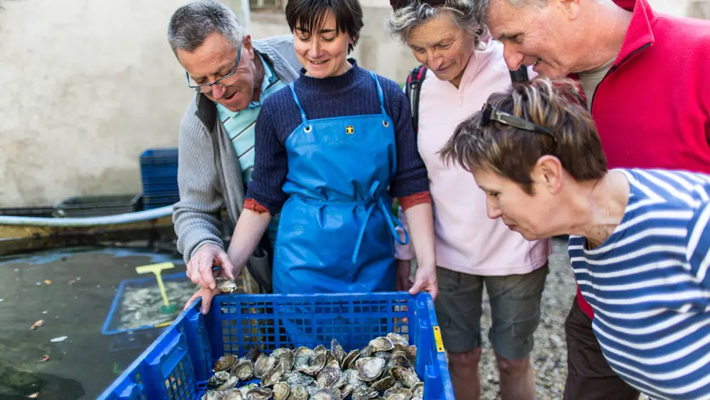 Camping du Château de Bélon