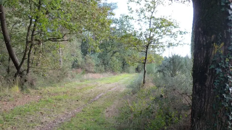 2 hautiere_Bréal
