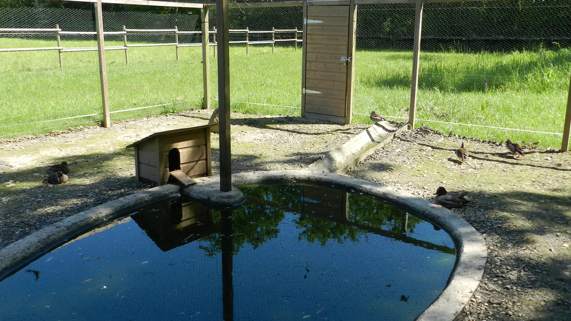 Gite-piscine-morbihan-longere-carentoir