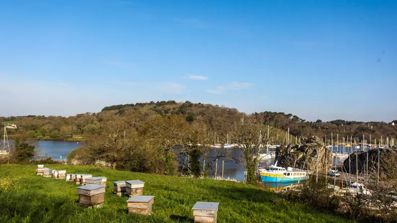 la Maison de l'Abeille