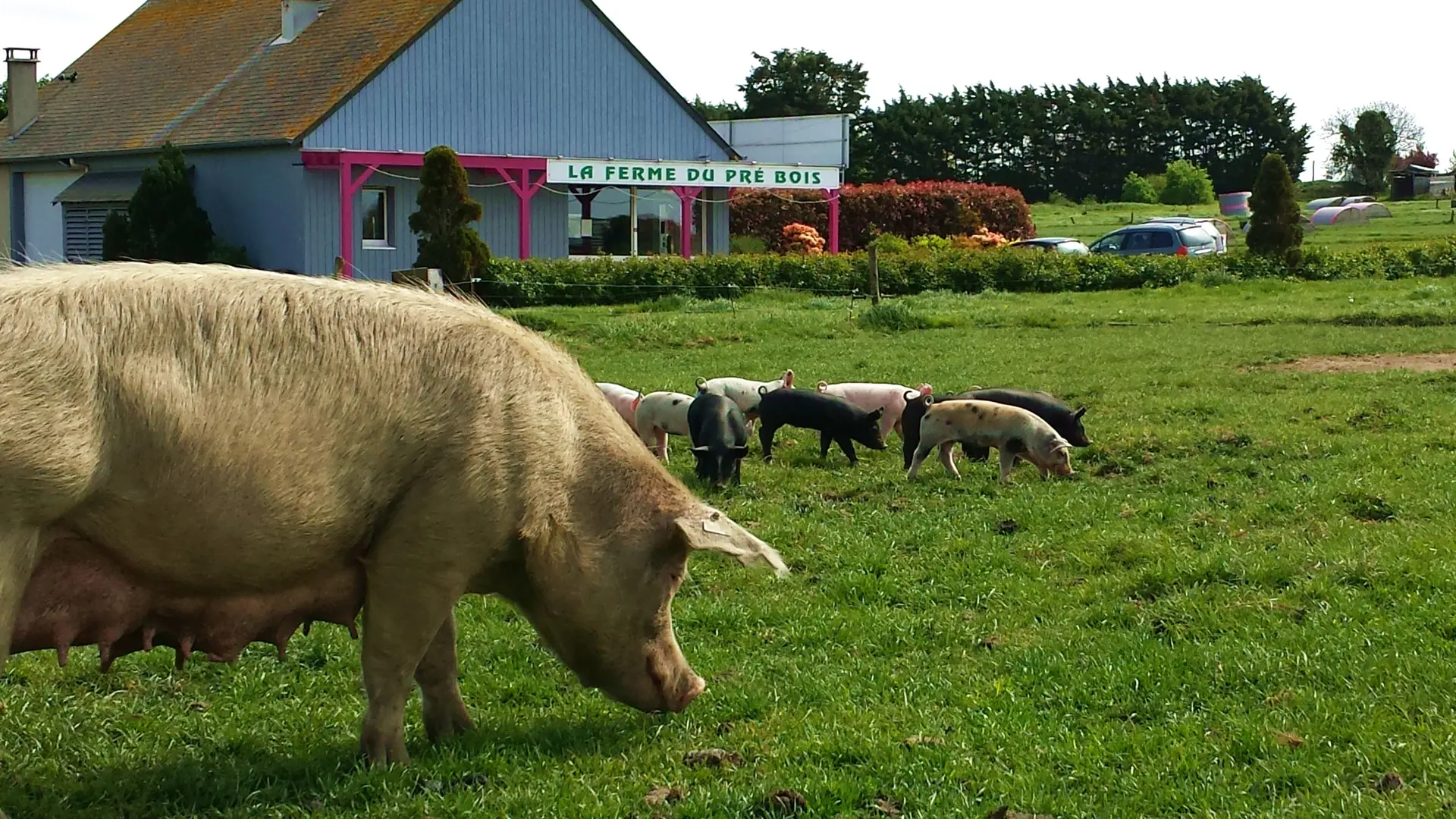 La Ferme du Pré Bois - Chacuterie - Saint-Malo