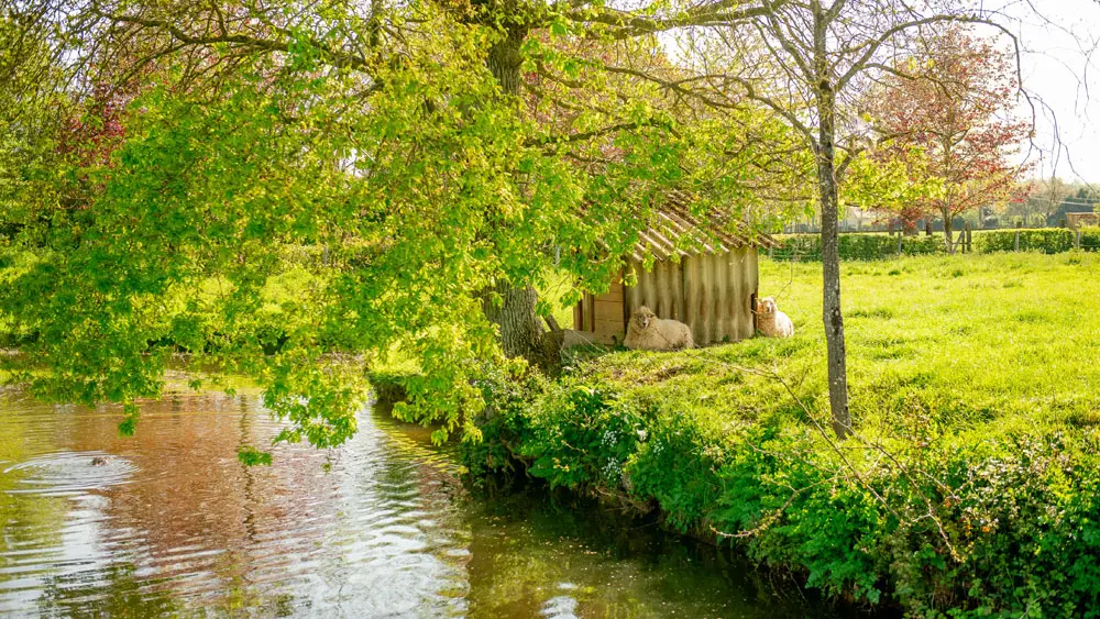 Manoir de la Haute Pilais
