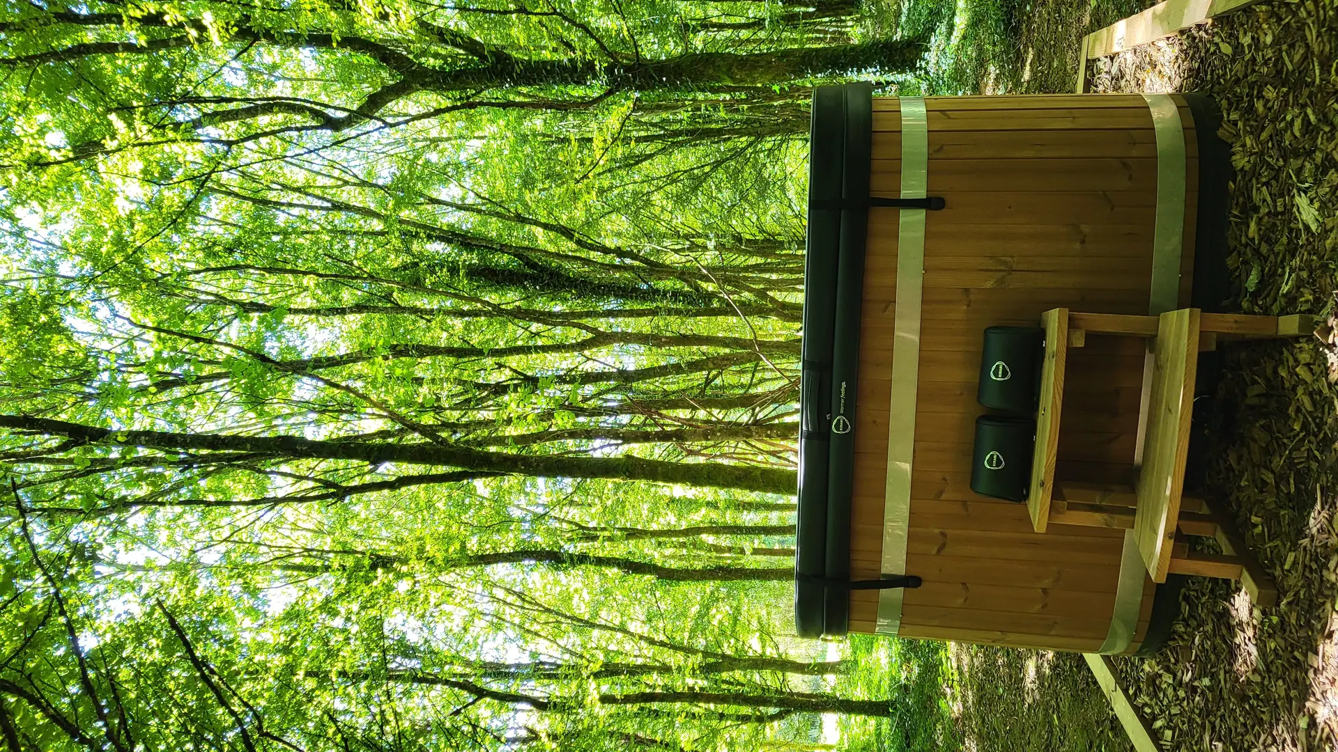 L'Arbre d'Or
