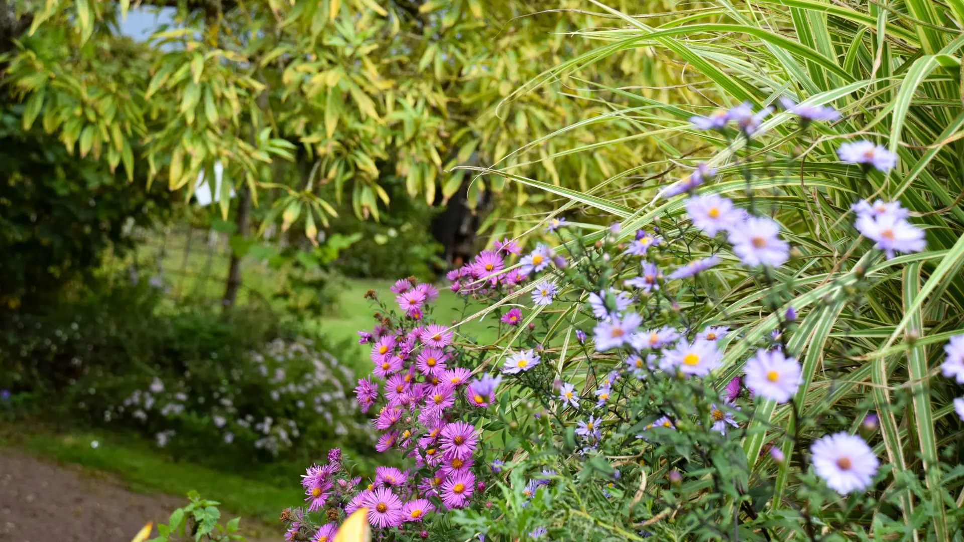 2025-09-aster-jardins-broceliande-29