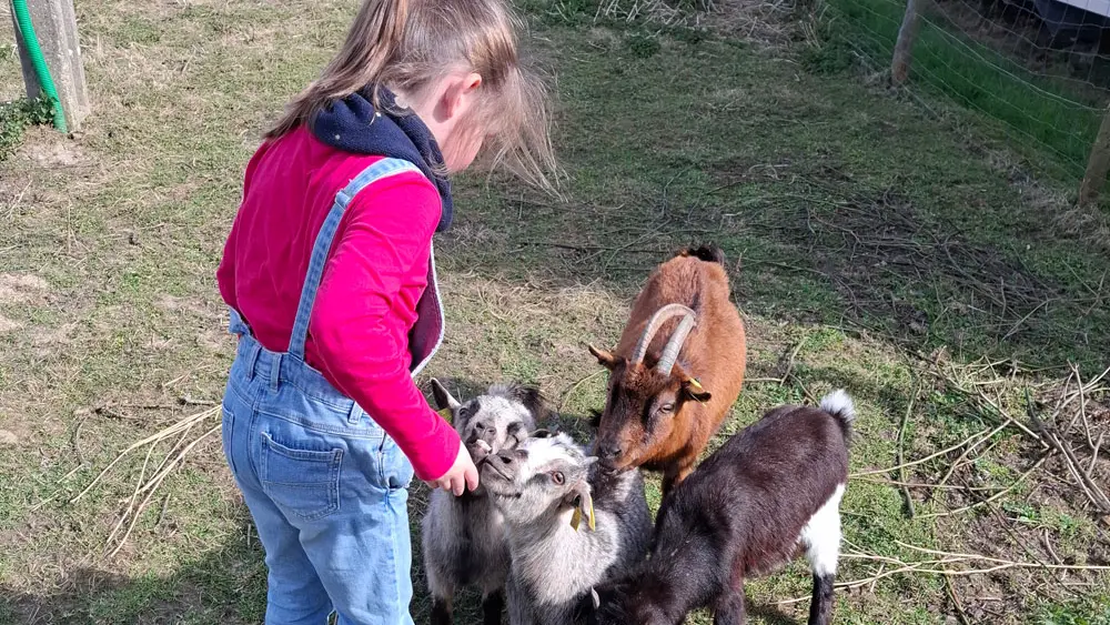 Camping Domaine les Peupliers