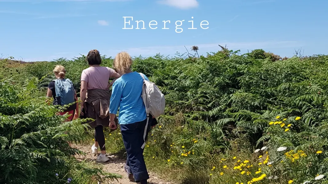 La terre est zen - Tréguier