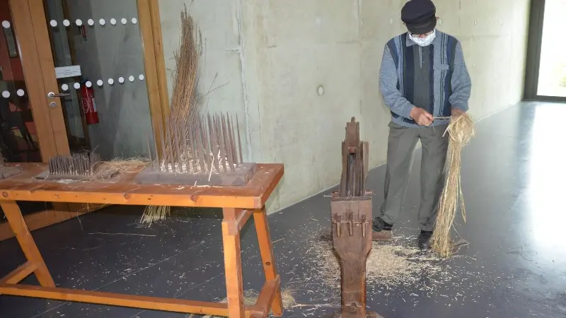 La Singulière - Visite guidée de l'espace éco-chanvre