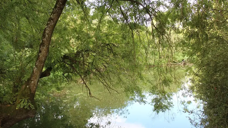 Le site naturel de Pasdavy à Servon-sur-Vilaine