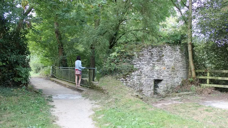 Le site naturel de Pasdavy à Servon-sur-Vilaine