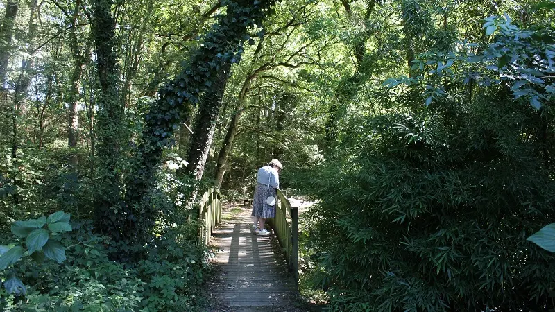 La Vallée du Rimon à Domloup