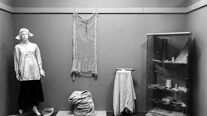 La Singulière - Visite guidée de l'espace éco-chanvre