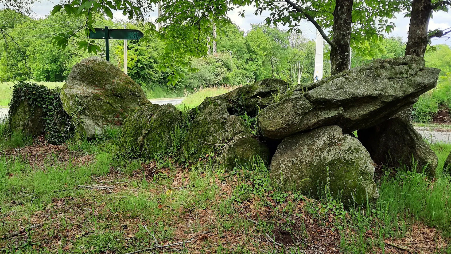 2021_dolmen-kergonfalz-bignan (7)