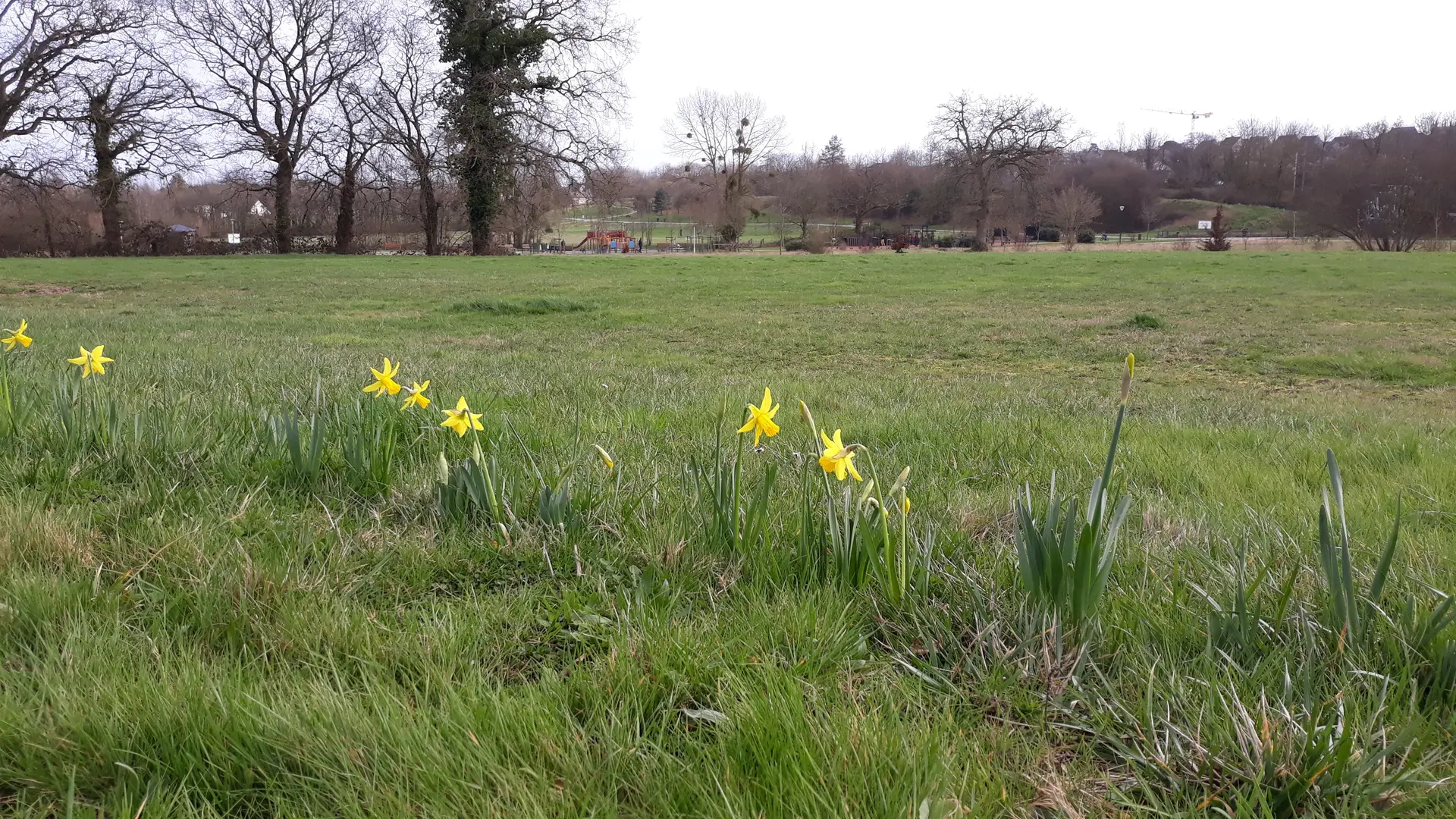 Le Parc du Chêne-Joli