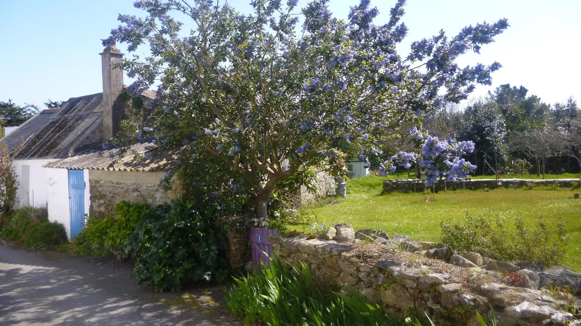PARK PUNS-LOCATION SAISONNIERE-LE PALAIS-BELLEILE