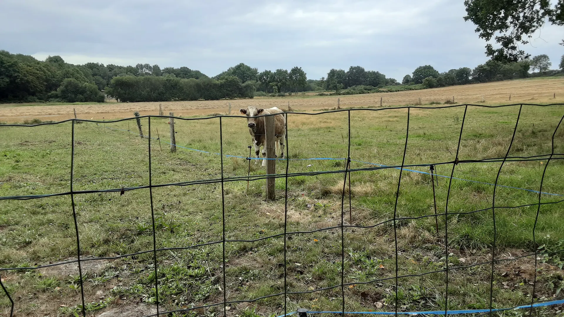 Location - Le Petit Colombier - Roz-sur-Couesnon