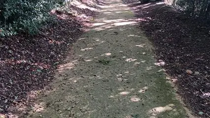 Sentier du Douet