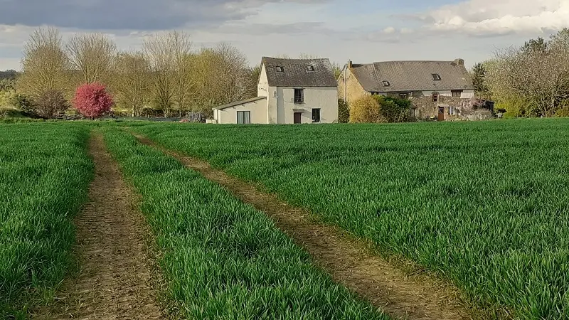 Gîte La Gifflaie