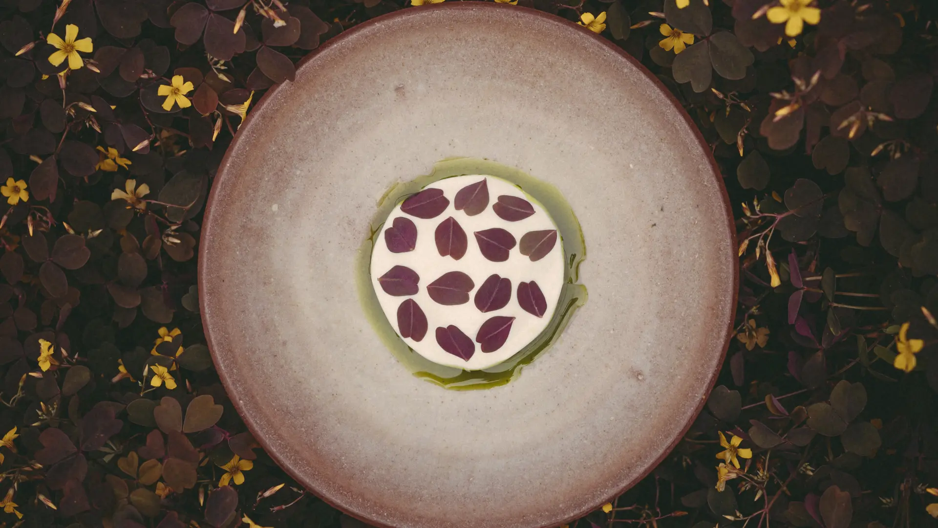 Le Coquillage - Saint Méloir des Ondes