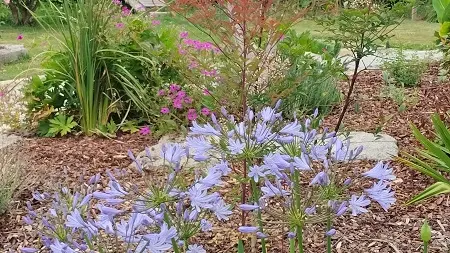 Jardin_GîteDuMoulin