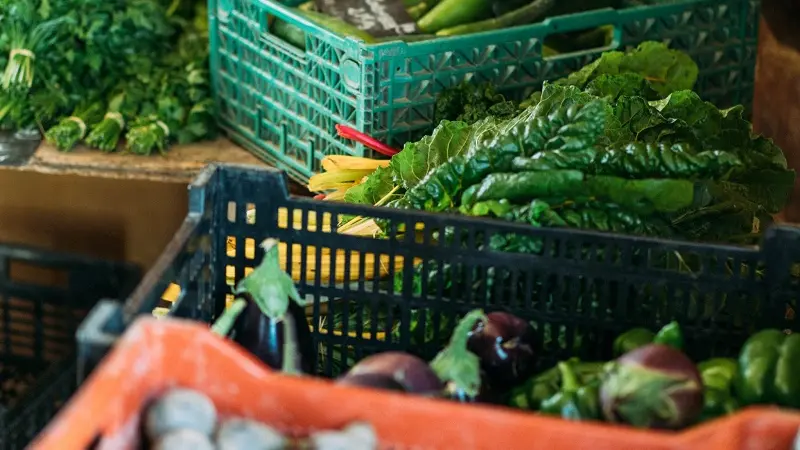 ferme_la-bouvrais_maraichage_brebis_Concoret_DestinationBroceliande