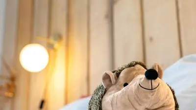 24_13_013_GîteClairiereDesFees_GîteClairiereDesFees