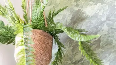 24_13_017_GîteClairiereDesFees_GîteClairiereDesFees