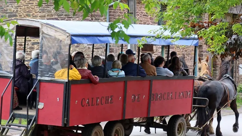 Calèche_de_Brocéliande_balade_contes_Tréhorenteuc_DestinationBrocéliande4