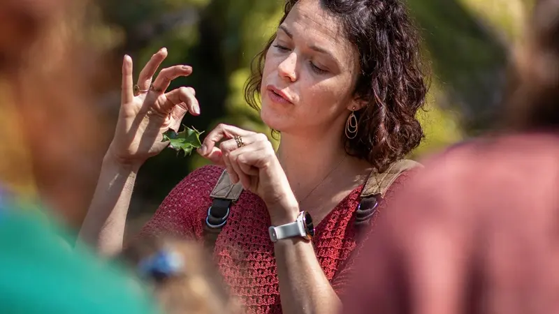 24_19_06030_DB_balade_contee_escapadesdejulie_trehorenteuc