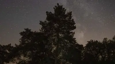 25_12_311_CampingBroceliande_CabaneKorrigan