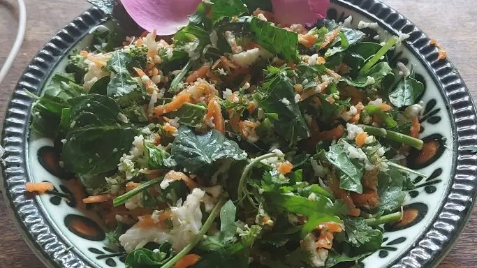 25_12_333_CampingBroceliande_Repas