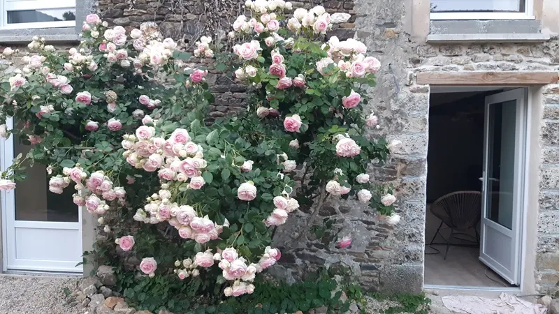 25_13_0312_ChantalDesbois_GîteKerAwen