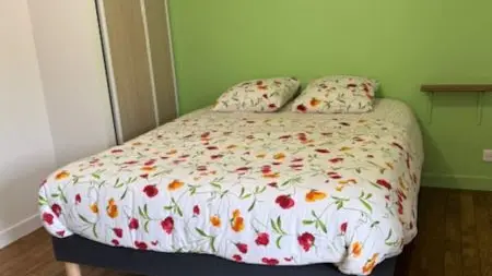 25_13_055_MmeGuerin_Batisses1872