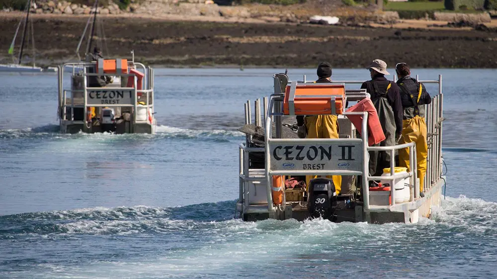 Aber Wrac'h Huîtres Bar