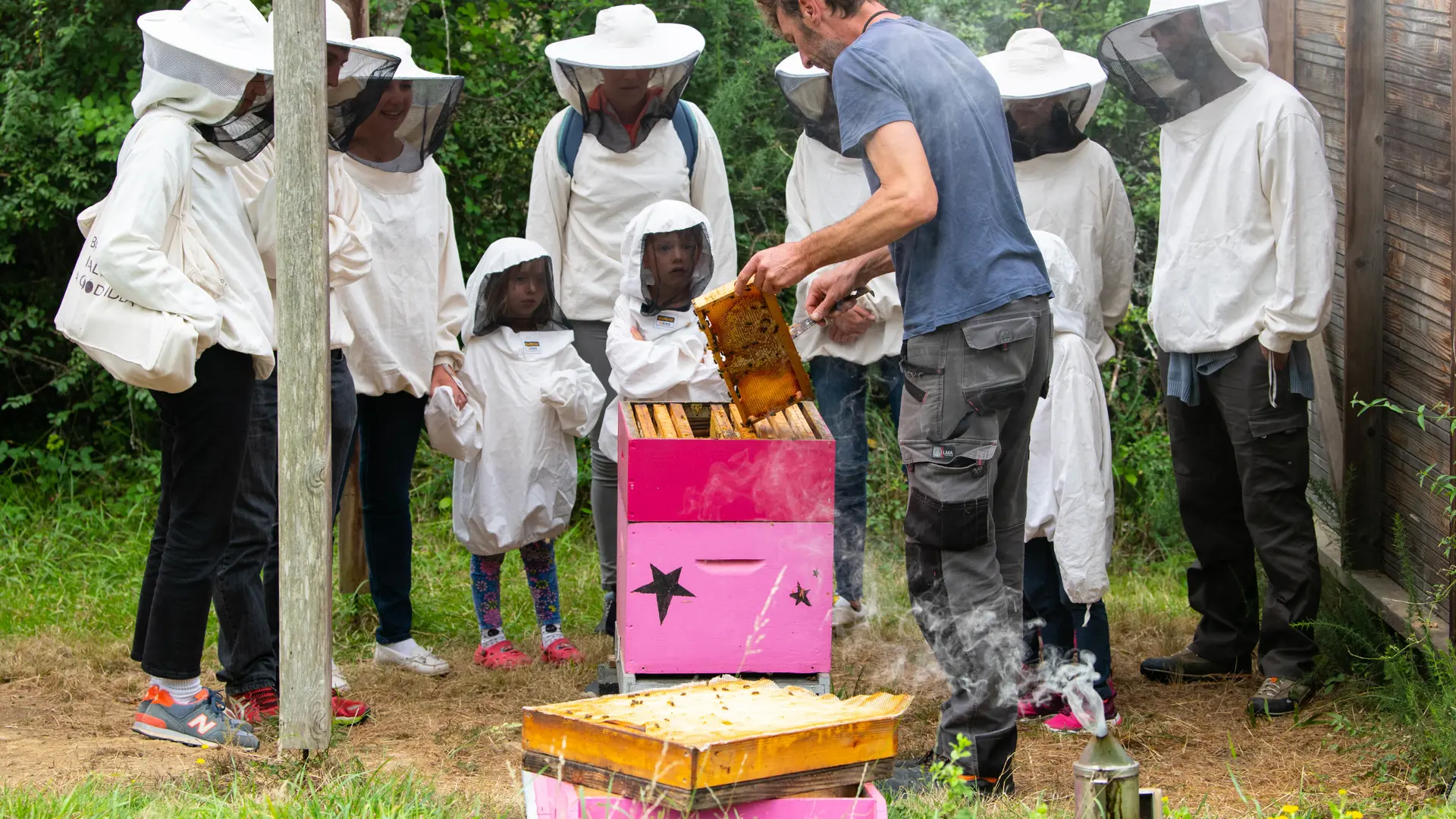 VISITE DU RUCHER DE L'ABEILLE NOIRE-LE PALAIS
