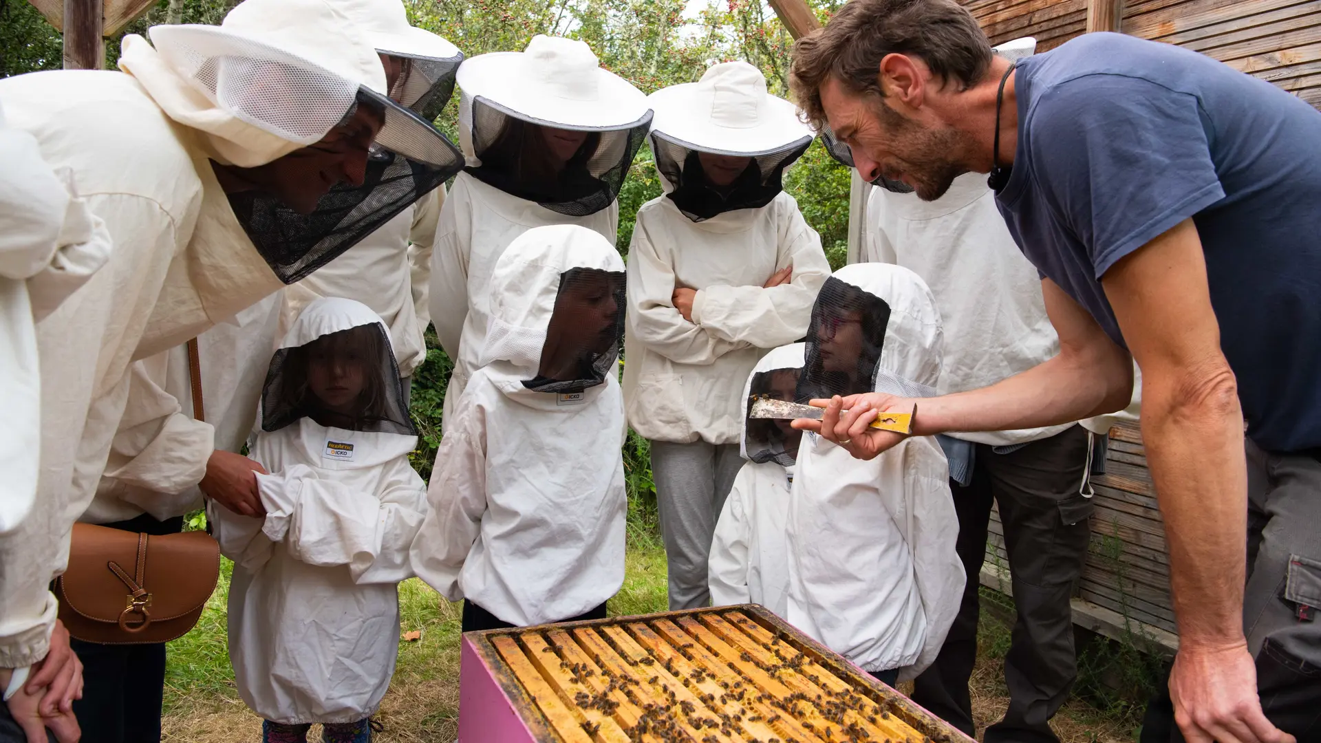 VISITE DU RUCHER DE L'ABEILLE NOIRE-LE PALAIS