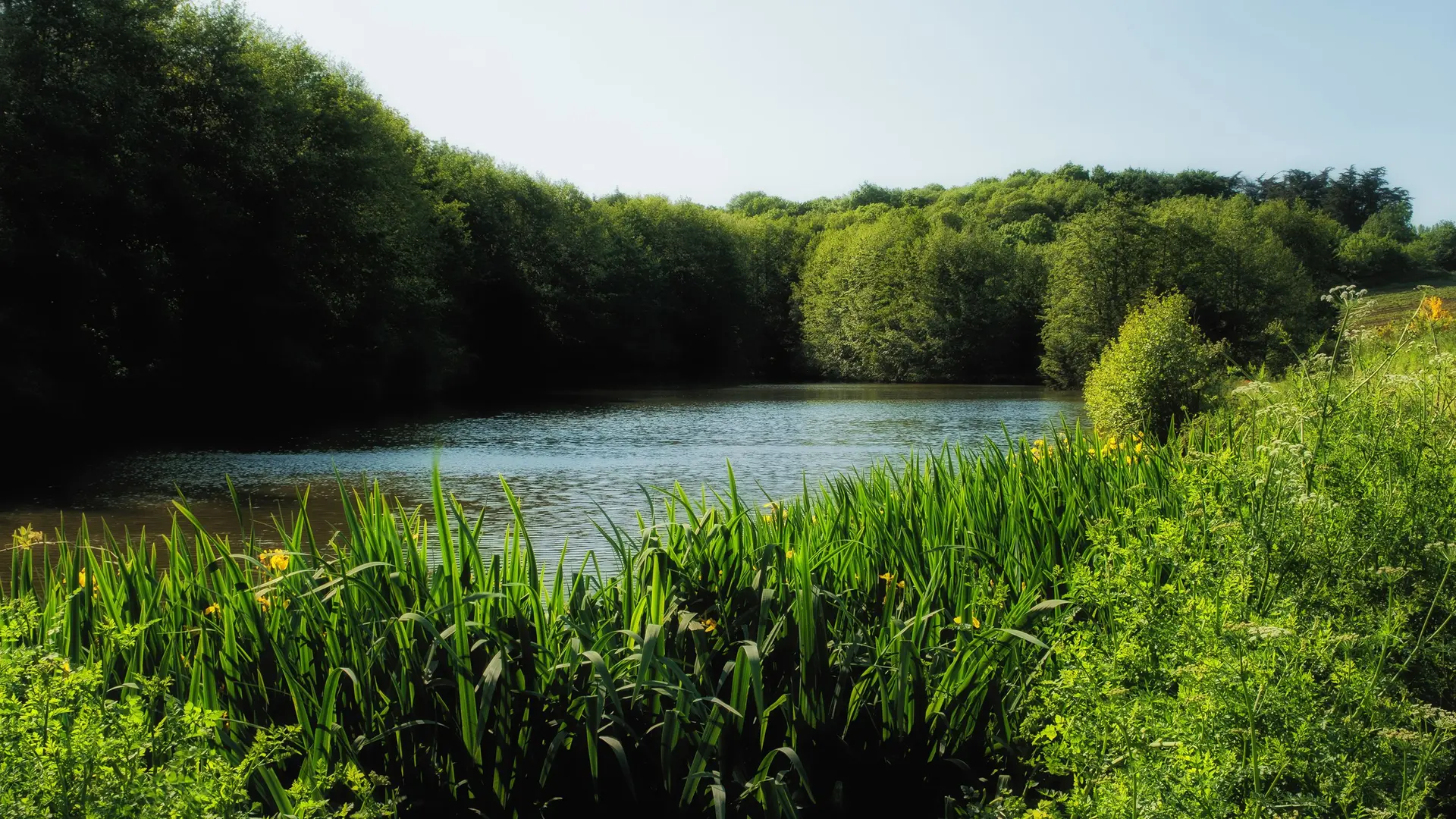 Etang de la ferme - La Ferme Bénaise St Malo
