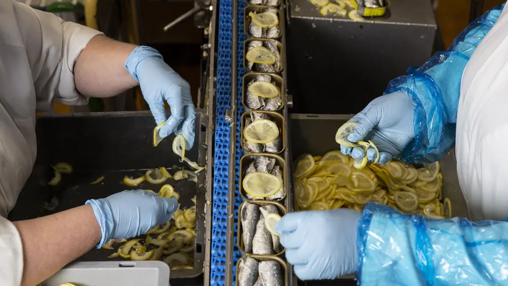 Conserverie la belle-iloise