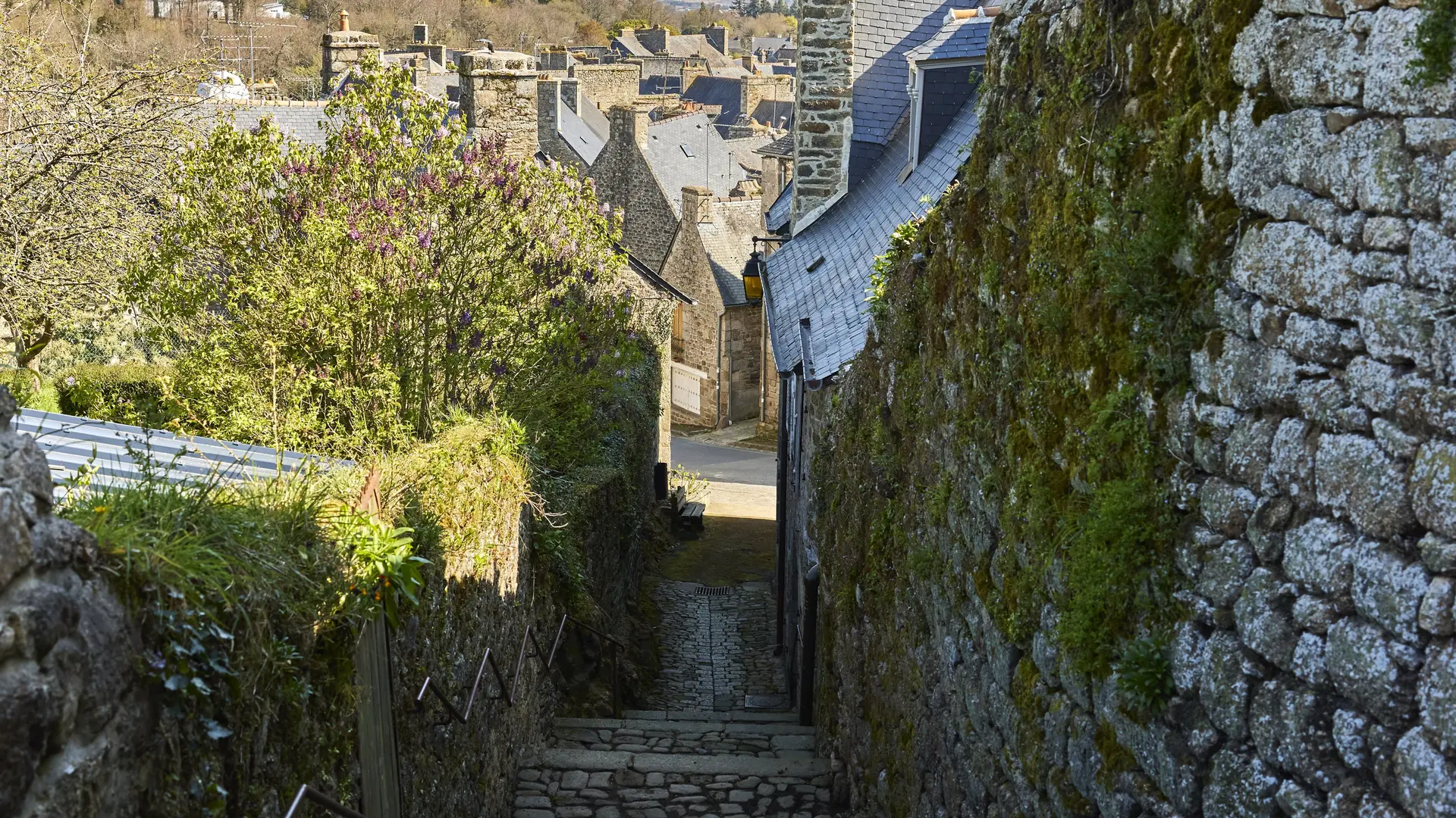 3.Moncontour21@aLamoureux_D6A9848_valide2031